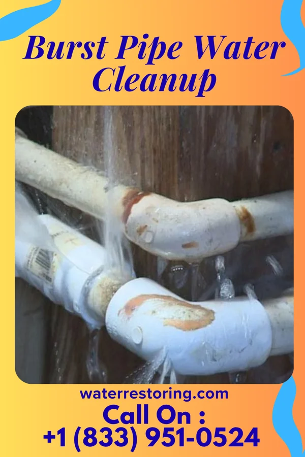 Burst Pipe Water Cleanup in Norway, MI