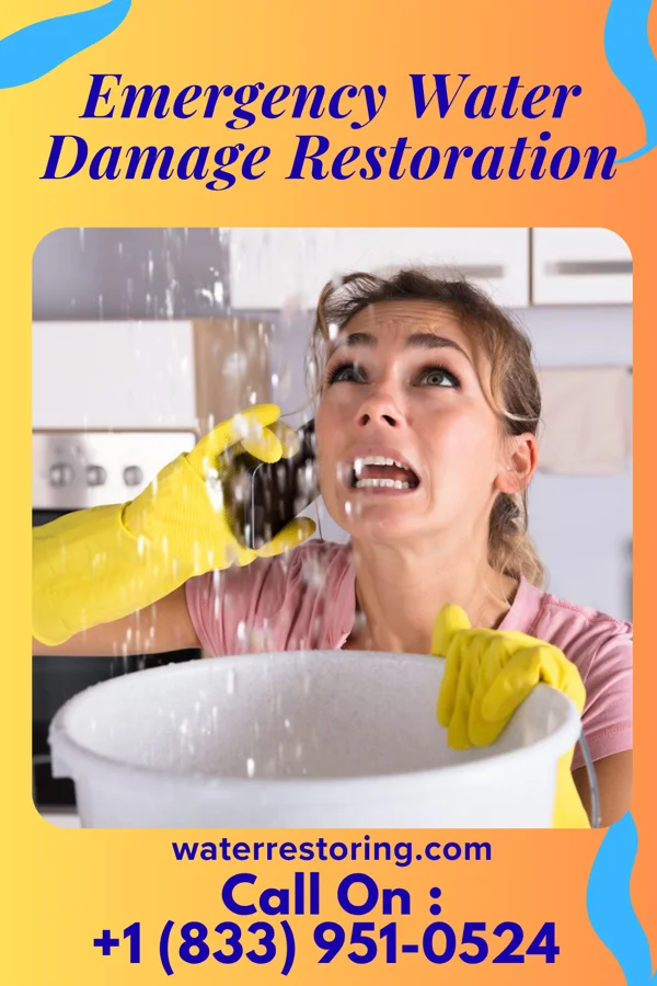 Emergency Water Damage Restoration in Norway, MI