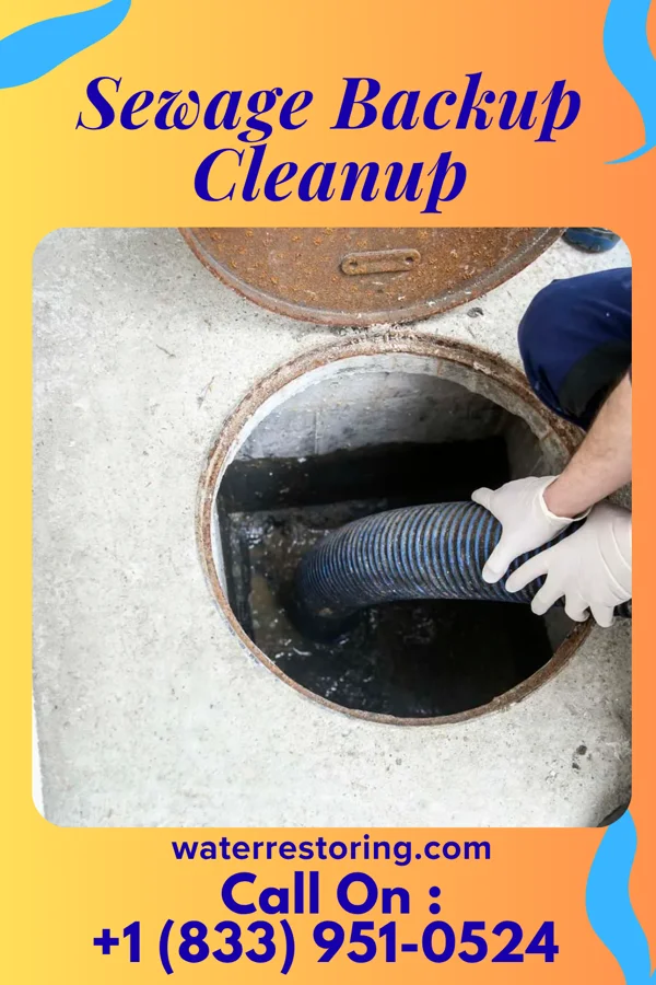Sewage Backup Cleanup in Norway, MI