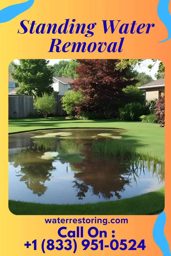 Standing Water Removal in Norway, MI